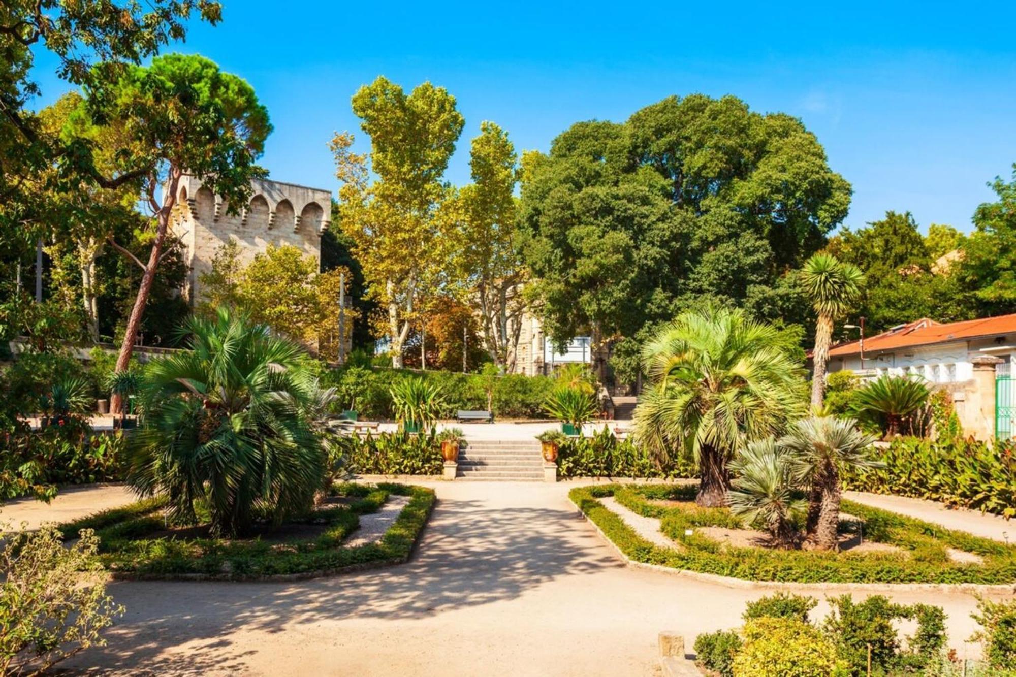 Le Triompha Montpellier Proche Arc De Triomphe Apartment Ngoại thất bức ảnh